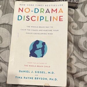 No-Drama Discipline Book